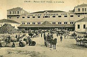 vue d oran (7)